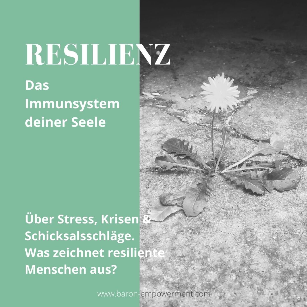 Read more about the article Resilienz – Das Immunsystem deiner Seele